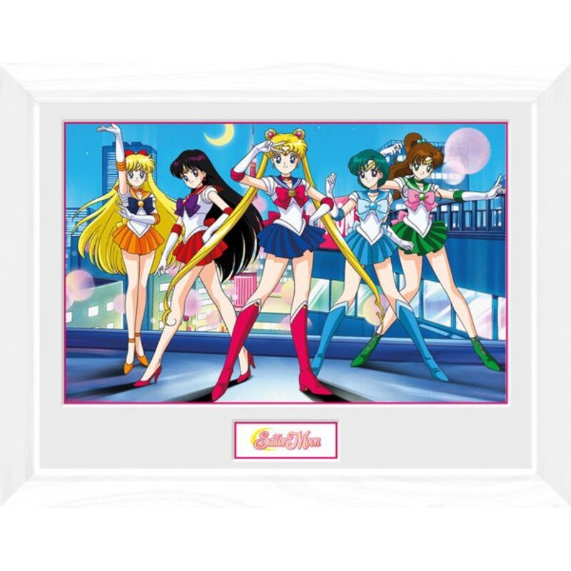 Sailor Moon poster encadré Group 45 x 34 cm