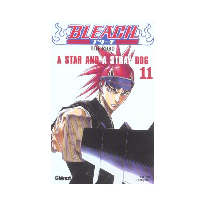 Bleach Tome 11 - A Star And A Stray Dog
