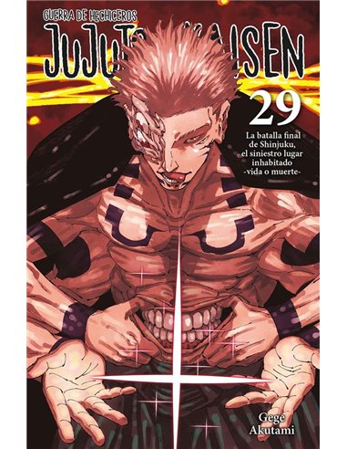 Jujutsu Kaisen – Tome 29