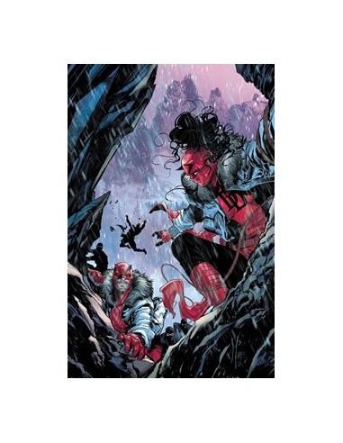 Daredevil – Volume 4