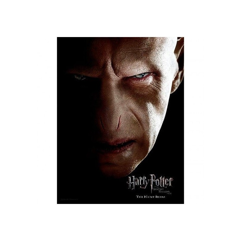 HARRY POTTER - Impression en Verre - Voldemort Face- 30X40 Cm