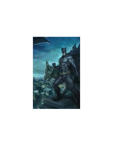 Batman vol. 11: La mirada del observador (Batman Saga Batman Renacido parte 7) – Comic