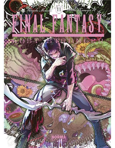 Final Fantasy Lost Stranger – Volume 11