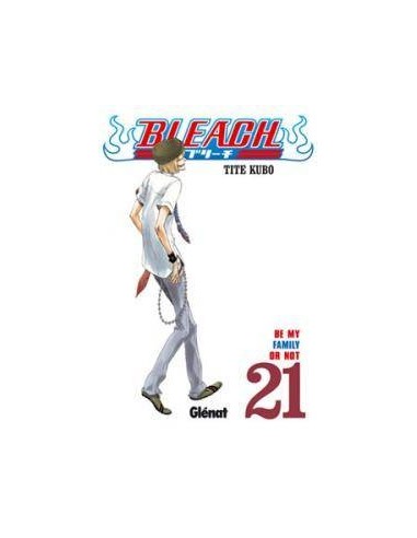 Bleach – Volume 21