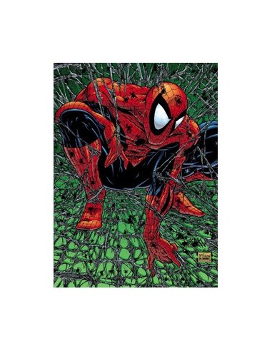 MARVEL Must-have. Spiderman: Tormento – Comic