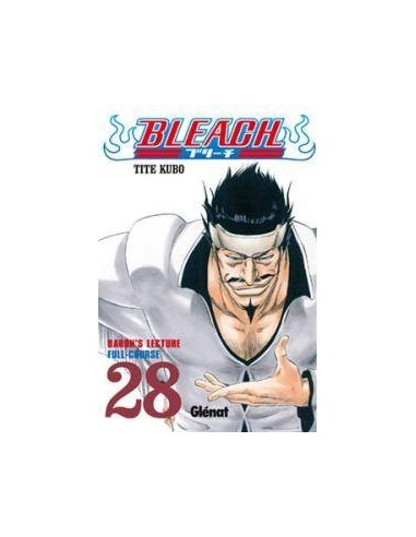Bleach – Volume 28