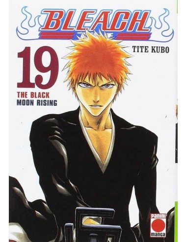 Bleach – Volume 19