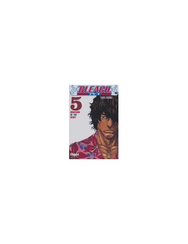 Bleach – Volume 5