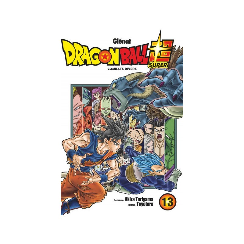 Dragon Ball Super Tome 13