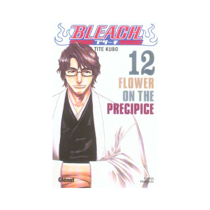Bleach Tome 12 - Flower On The Precipice