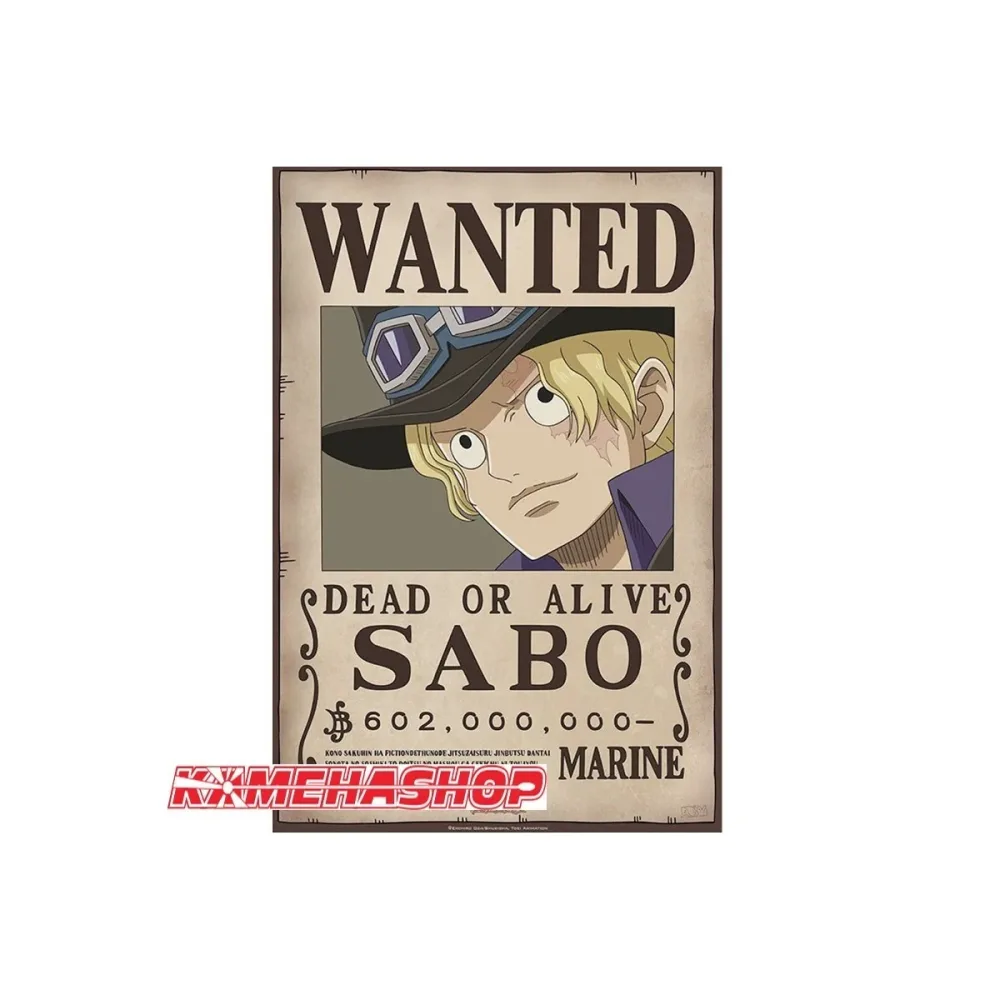 Affiche Wanted Sabo