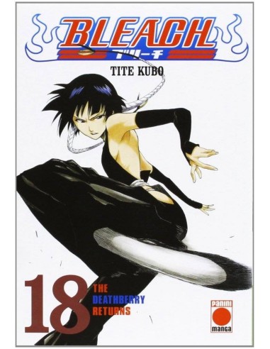 Bleach – Volume 18
