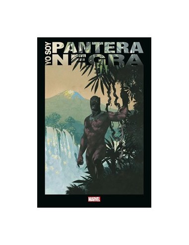 Yo Soy Pantera Negra (nuevo Precio) – Livre