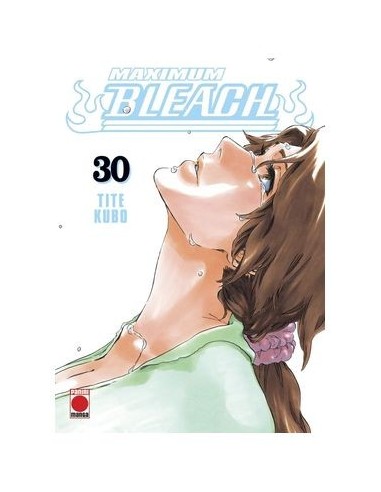 Bleach Maximum – Tome 30