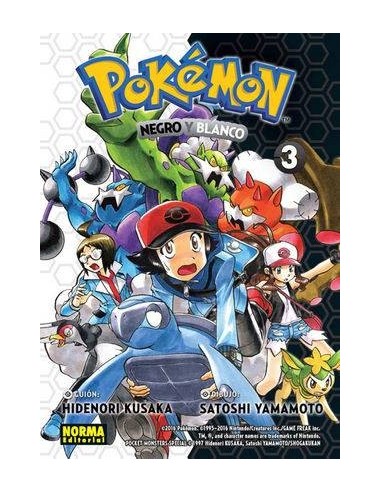 Pokémon 28 Negro y Blanco 3