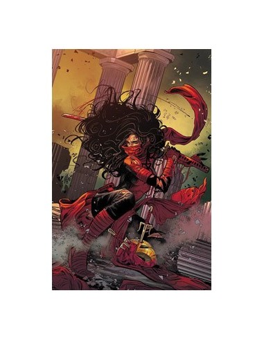 Daredevil – Volume 6