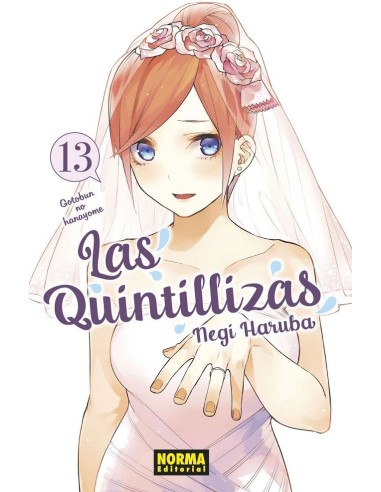 Las Quintillizas – Tome 13