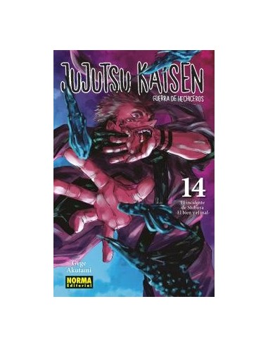 Jujutsu Kaisen – Tome 14