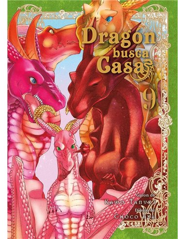 Dragon Busca Casa 9